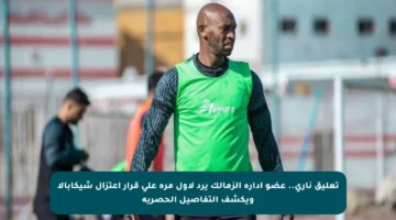 تعليق ناري.. عضو إدارة الزمالك يرد لأول مرة على قرار اعتزال شيكابالا ويكشف التفاصيل الحصرية